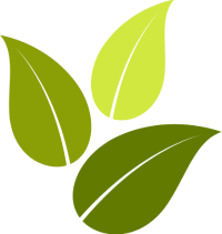 Leaves decoration